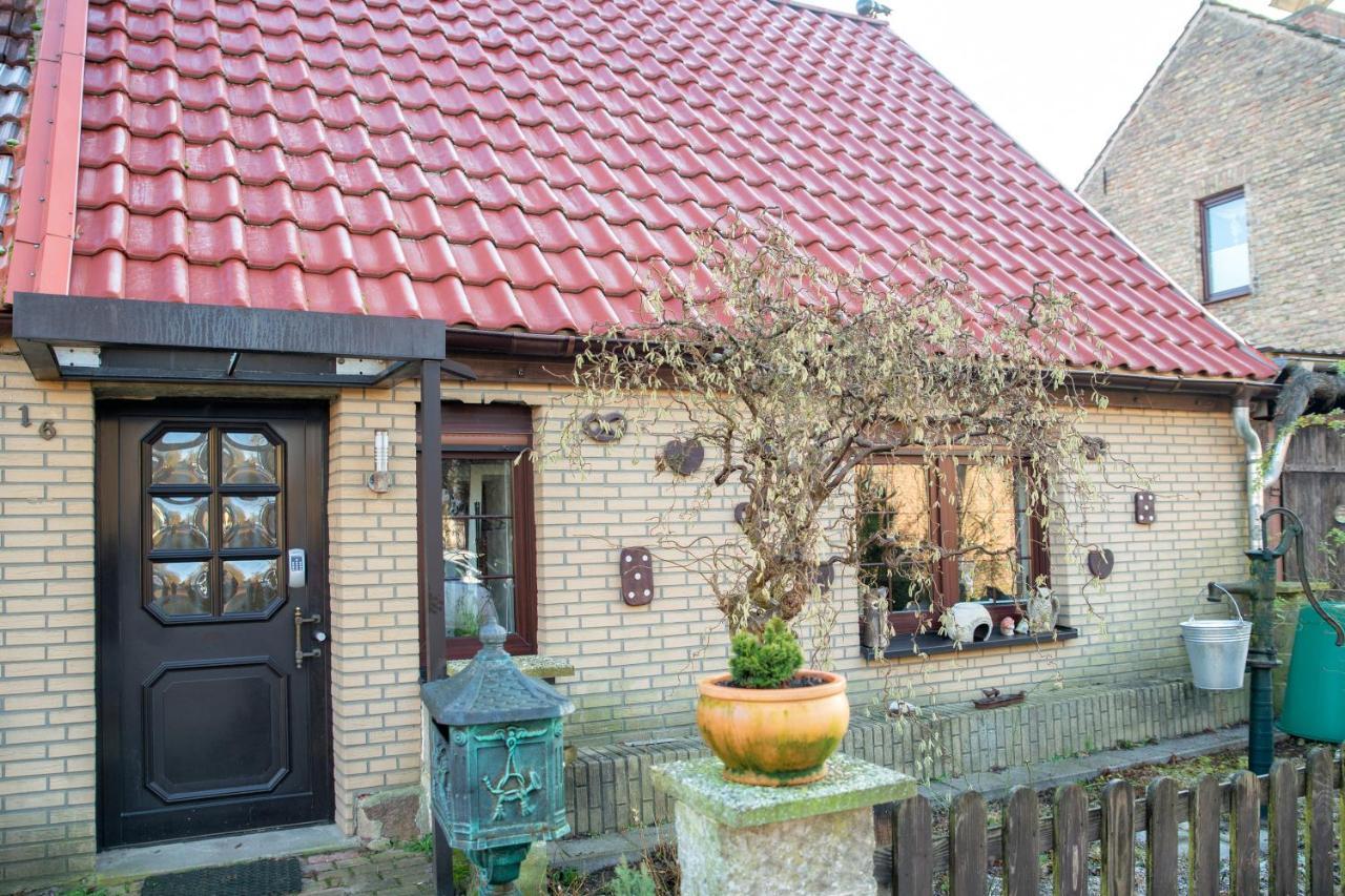 Ferienhaus Am Reiterhof Templin Exteriér fotografie